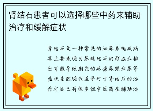 肾结石患者可以选择哪些中药来辅助治疗和缓解症状